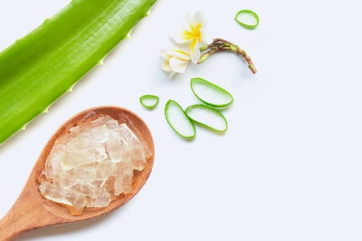 Aloe vera is a popular medicinal plant for health and beauty, on white background.