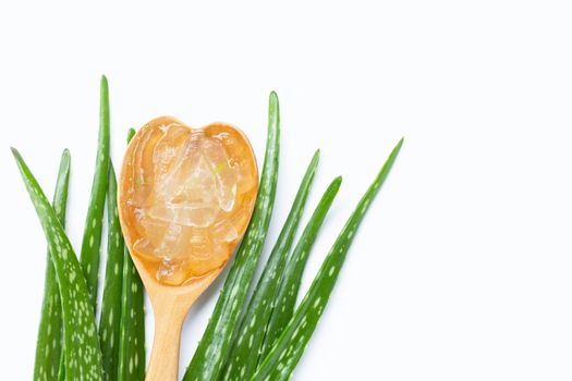 Aloe vera is a popular medicinal plant for health and beauty, on white background. Copy space