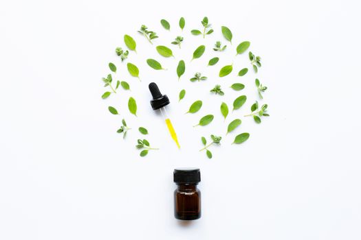 Top view. Bottle of essential oil with marjoram on white background