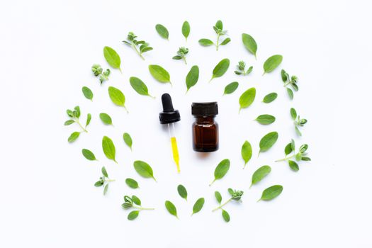 Top view. Bottle of essential oil with marjoram on white background