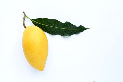 Top view of yellow mango, Tropical fruit  juicy and sweet.