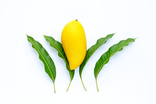 Top view of yellow mango with leaves on white, Tropical fruit juicy and sweet.