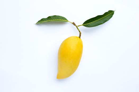 Top view of yellow mango, Tropical fruit  juicy and sweet.