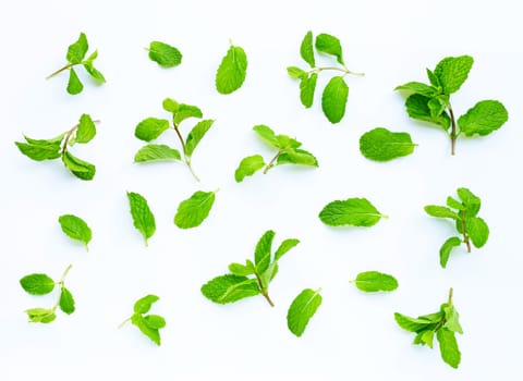 Fresh  mint leaves  on white background.