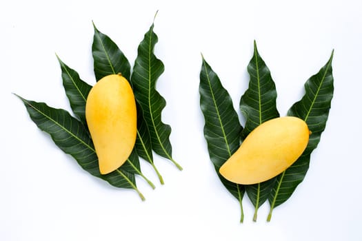 Top view of yellow mango, Tropical fruit  juicy and sweet.