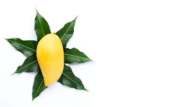 Top view of yellow mango, Tropical fruit  juicy and sweet.