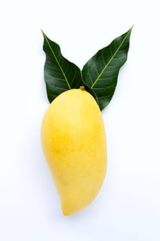 Top view of yellow mango, Tropical fruit  juicy and sweet.