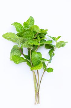 Fresh  mint leaves  on white background.