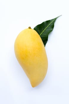 Top view of yellow mango, Tropical fruit  juicy and sweet.