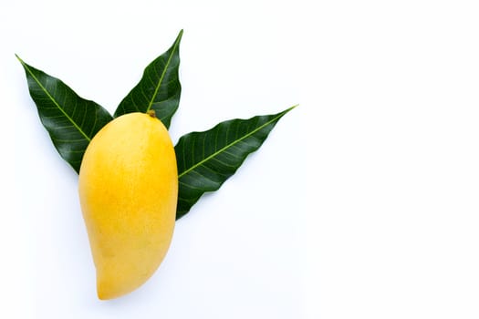 Top view of yellow mango, Tropical fruit  juicy and sweet.