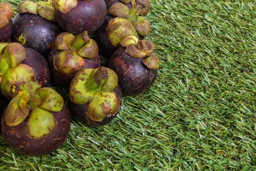 Mangosteen on Green Grass Background : Tropical Fruit from Thailand