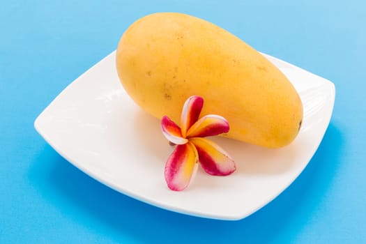 Ripe and yellow Thai mango on blue background.