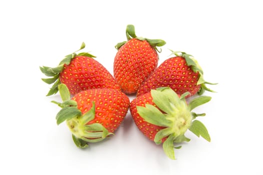 Five strawberries placed on a white background.