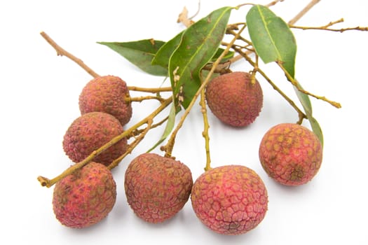 Seven lychees on the white ground.