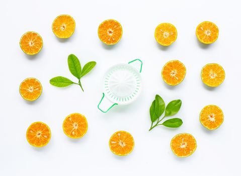 Citrus orange juicer with oranges fruit on white background.