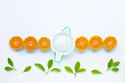 Citrus orange juicer with oranges fruit on white background.