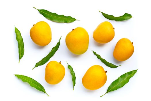 Tropical fruit, Mango on white background. Top view