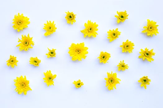Composition of yellow flowers. Chrysanthemums on white background.