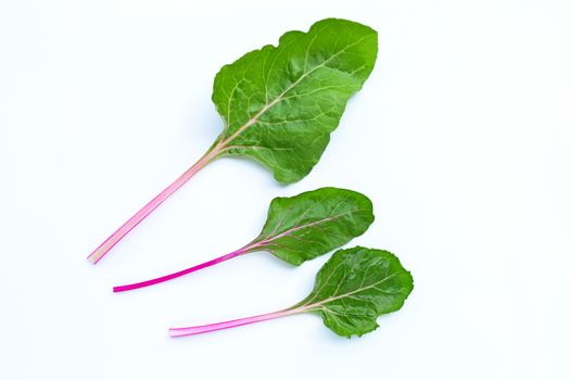Fresh swiss chard on a white background