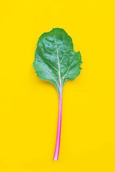 Fresh swiss chard on yellow background.