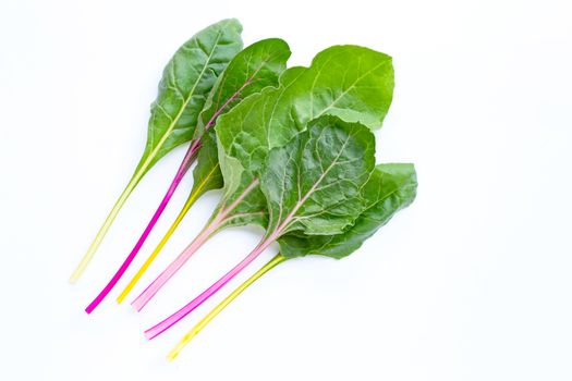 Fresh swiss chard on a white background