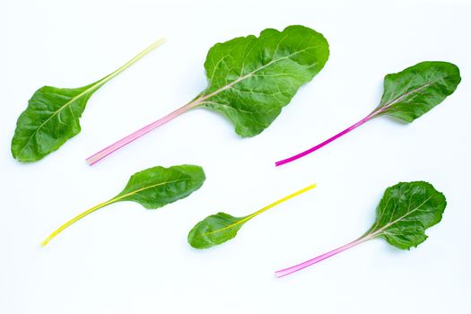 Fresh swiss chard on a white background