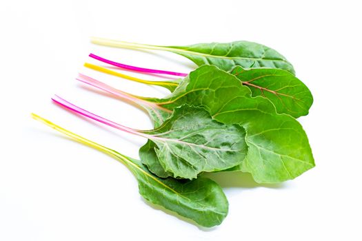 Fresh swiss chard on a white background