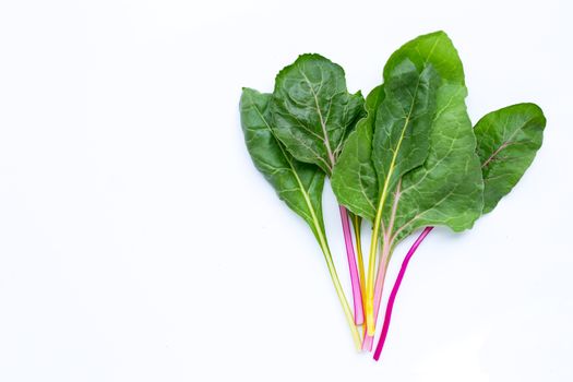 Fresh swiss chard on a white background