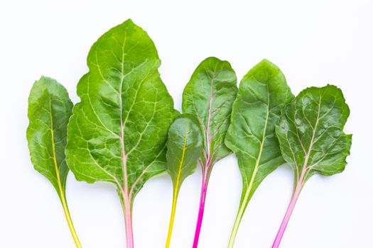 Fresh swiss chard on a white background