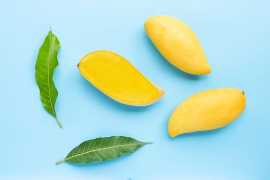 Tropical fruit, Mango  on blue background. Top view