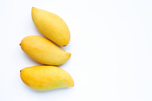 Tropical fruit, Mango  on white background. Top view