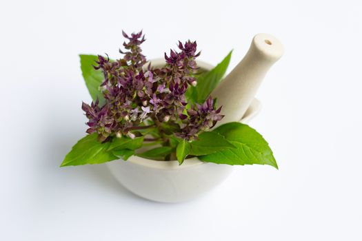 Sweet basil with purple flowers in porcelain mortar on white background.