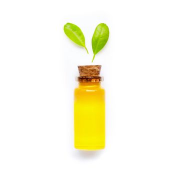 Natural citrus oil with green leaves  on white background. High vitamin C. Top view