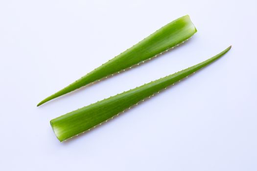Aloe vera fresh leaves on white background. Copy space