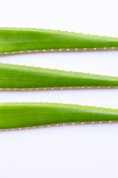 Aloe vera fresh leaves on white background.