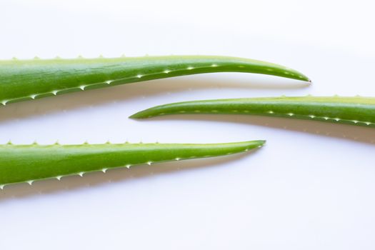 Aloe vera leaves on white background. 