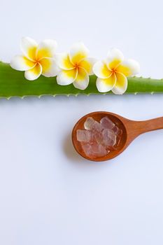 Aloe vera and Plumeria flower on white background. Copy space