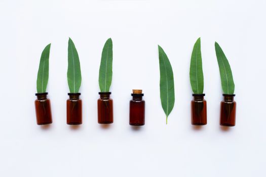 Eucalyptus oil bottles with leaves on white background. top view