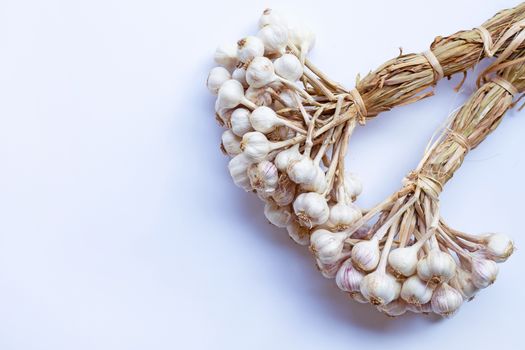 Garlic on a white background.