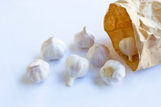 Garlic on white background.