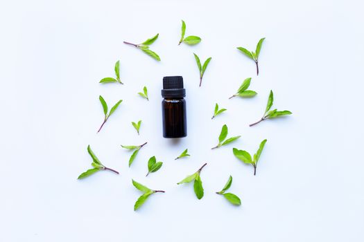 Holy basil essential oil in a glass bottle with fresh holy basil leaves 