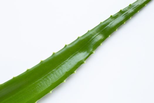 Aloe vera on white background. Copy space