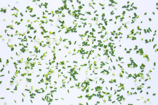 green onions isolated on white background