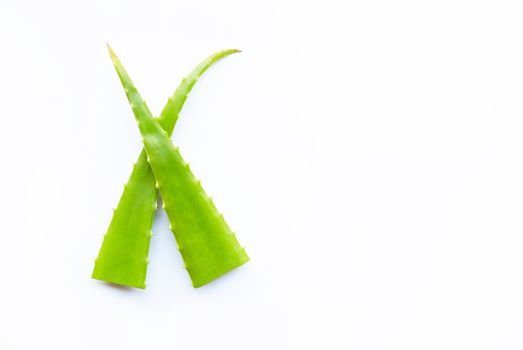 Aloe vera  leaves on white background. Copy space