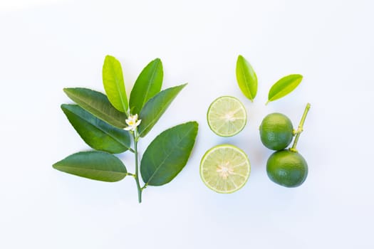 Limes with leaves and flower on white background.
