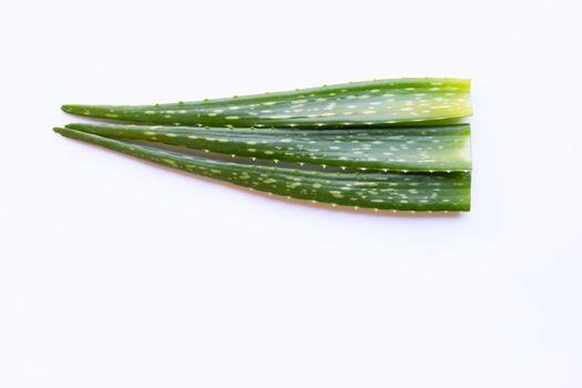 Aloe vera leaves on white background