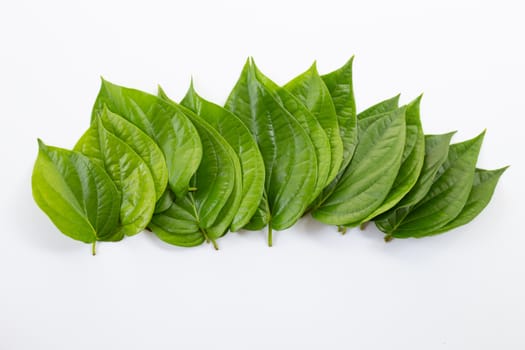Green betel leaves, Fresh piper betle on white background.
