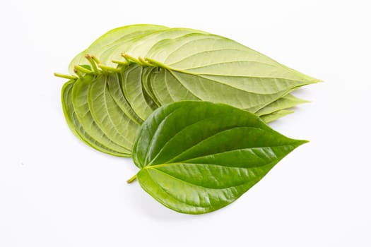 Green betel leaves, Fresh piper betle on white background.