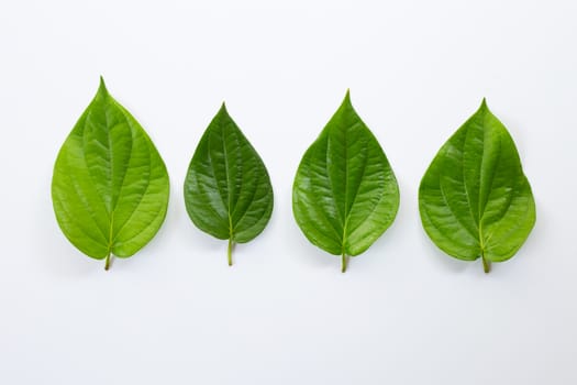Green betel leaves, Fresh piper betle on white background.