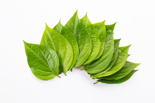 Green betel leaves, Fresh piper betle on white background.